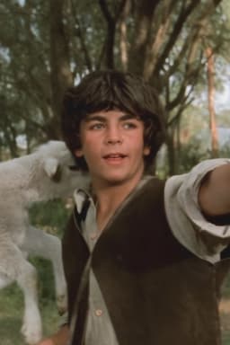 Daniel Albertos